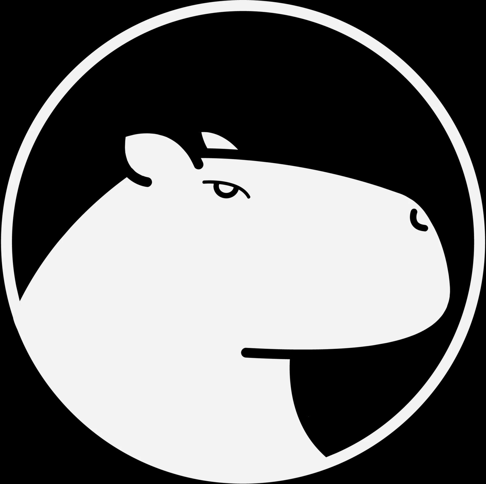 Logotipo oficial da empresa Cappy - Cliente de desenvolvimento web da Mytrus